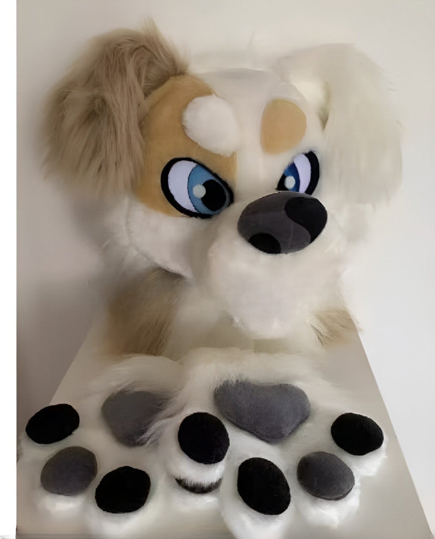 Husky doll clothes  walking cartoon  Halloween costume