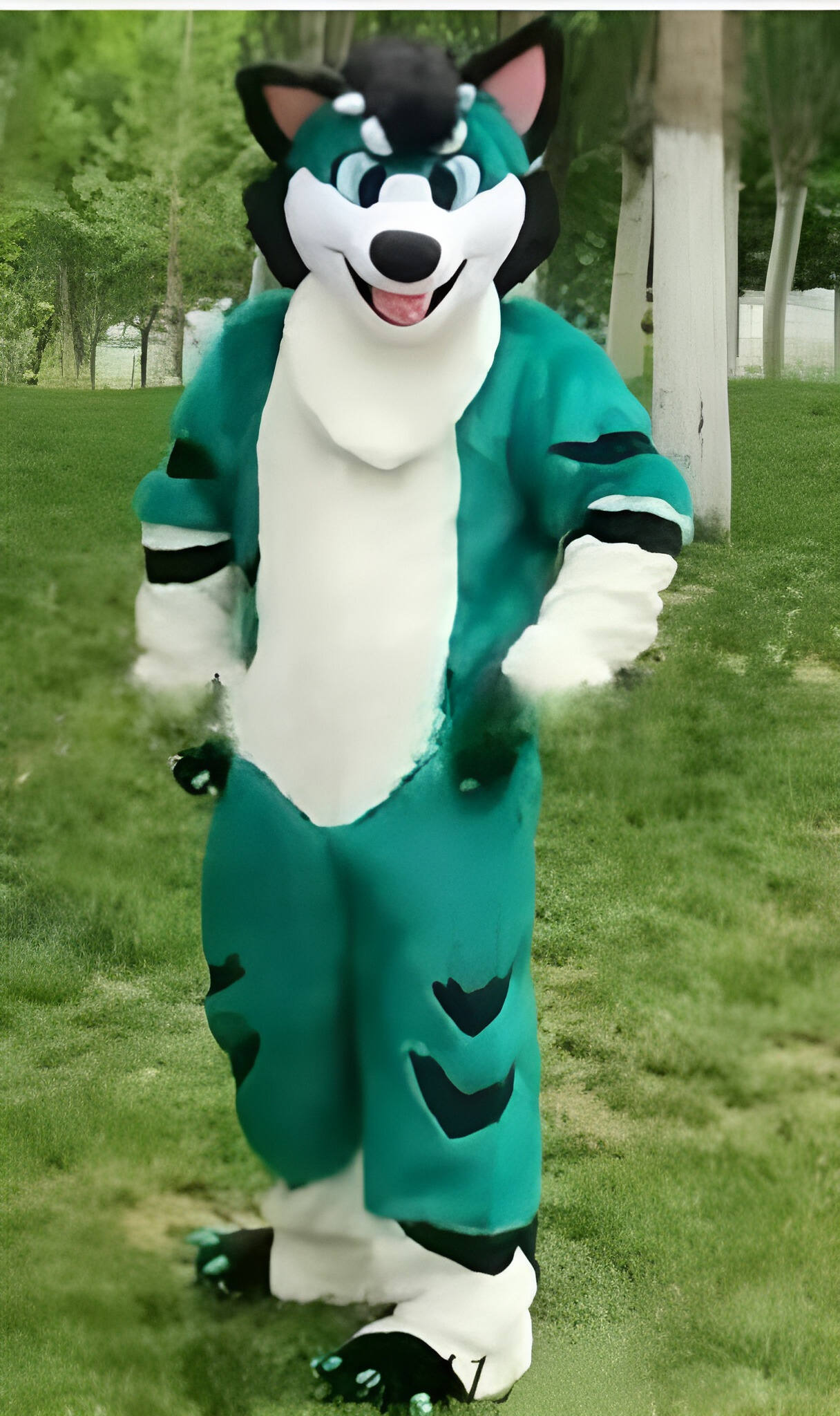 Husky doll clothes  walking cartoon  Halloween costume
