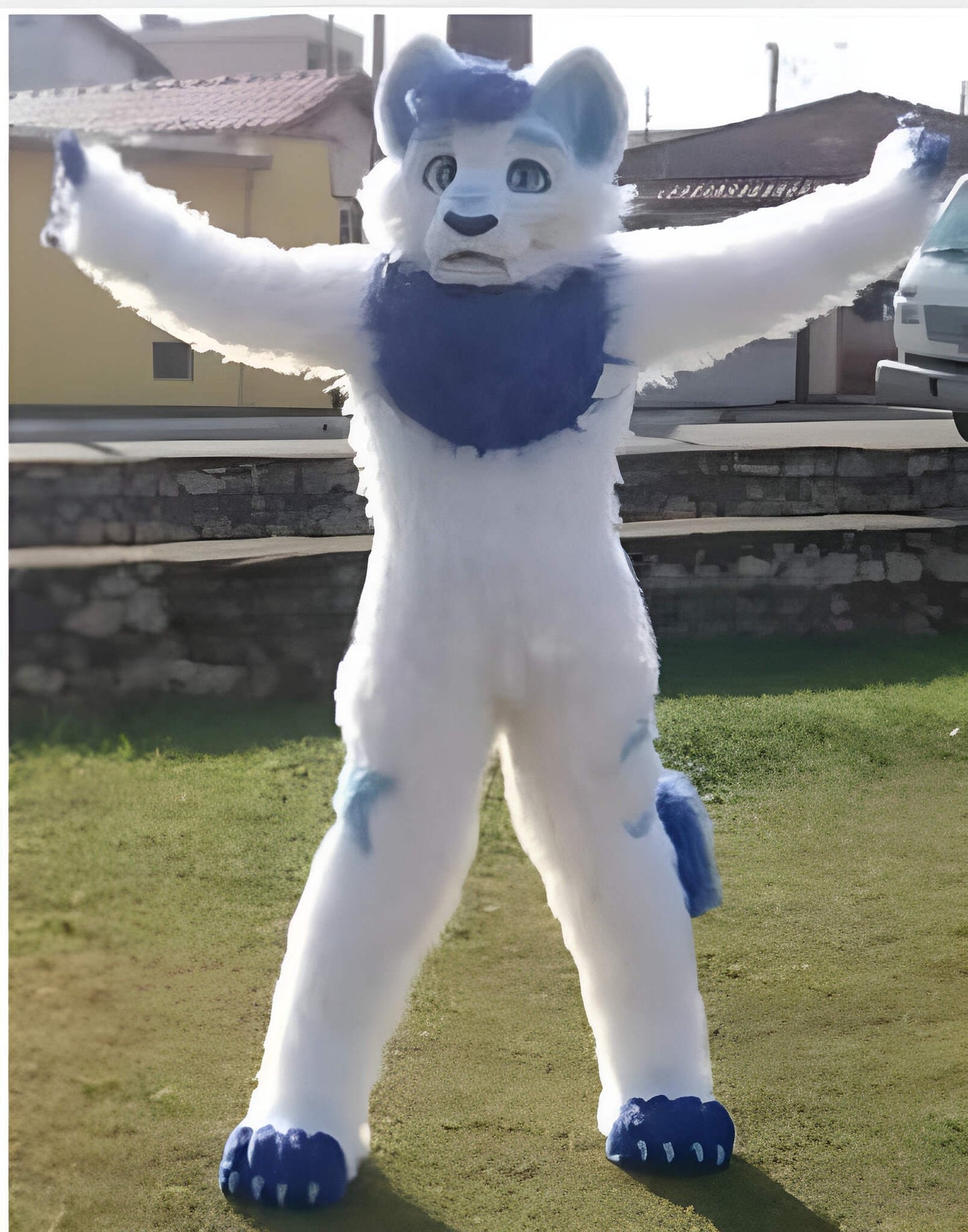 Husky doll clothes  walking cartoon  Halloween costume