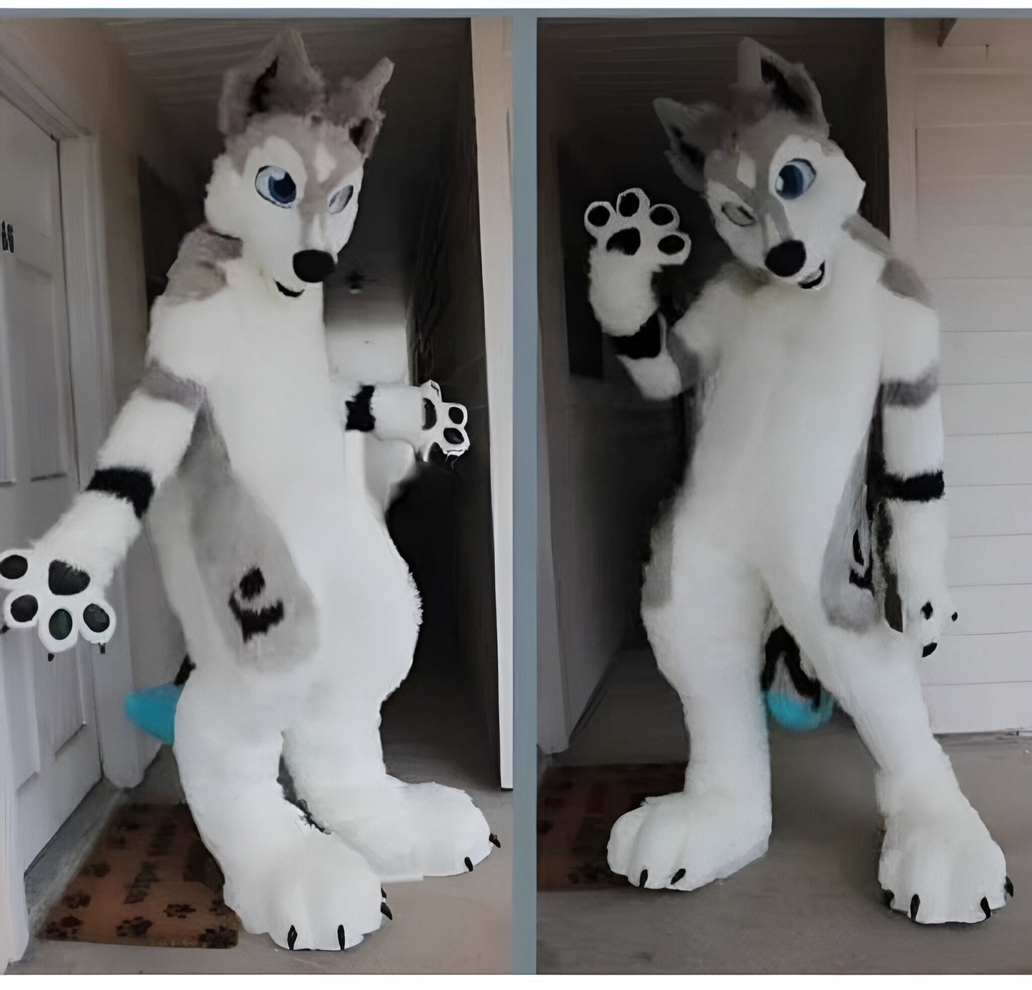 Husky doll clothes  walking cartoon  Halloween costume