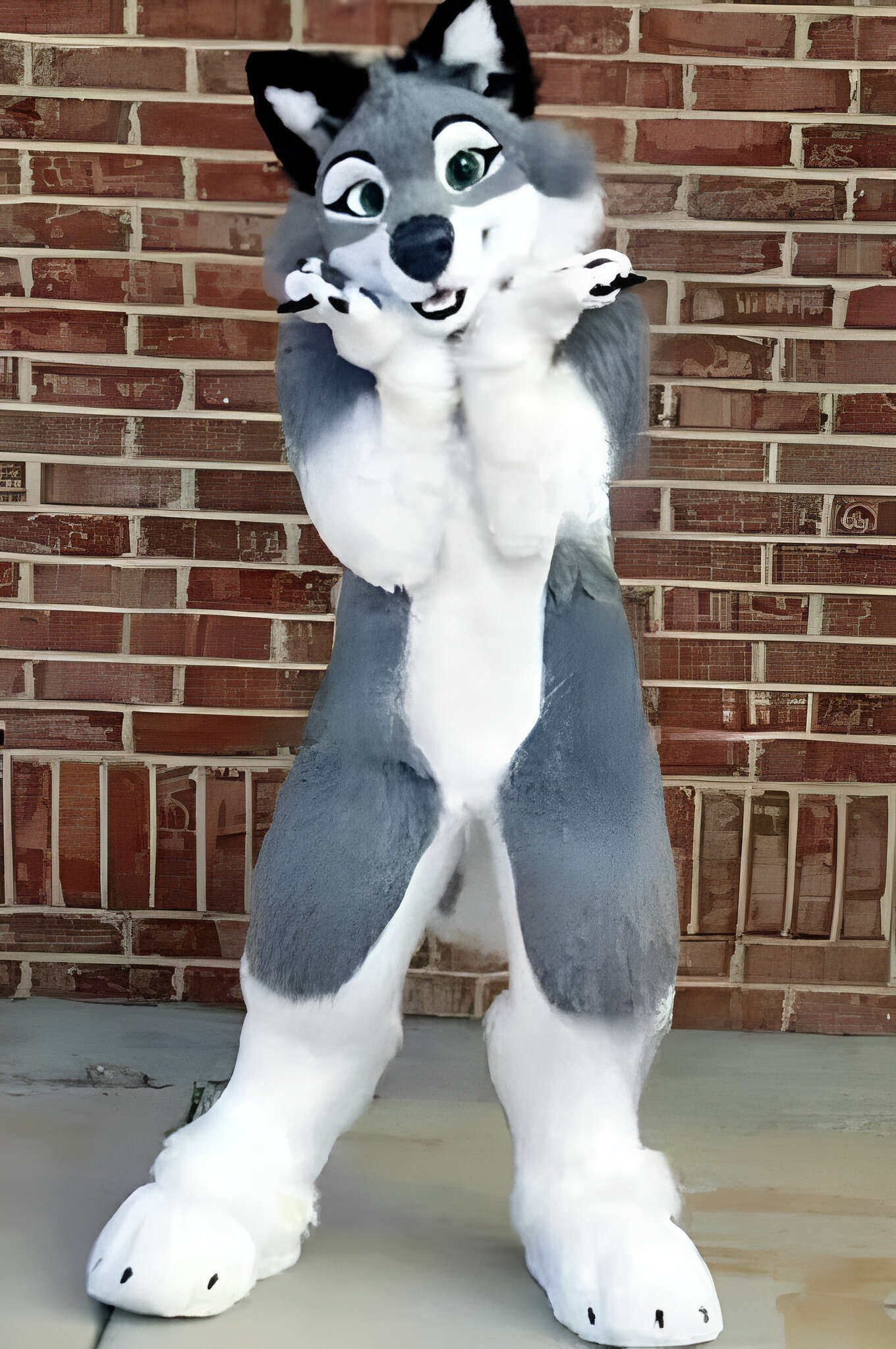Husky doll clothes  walking cartoon  Halloween costume