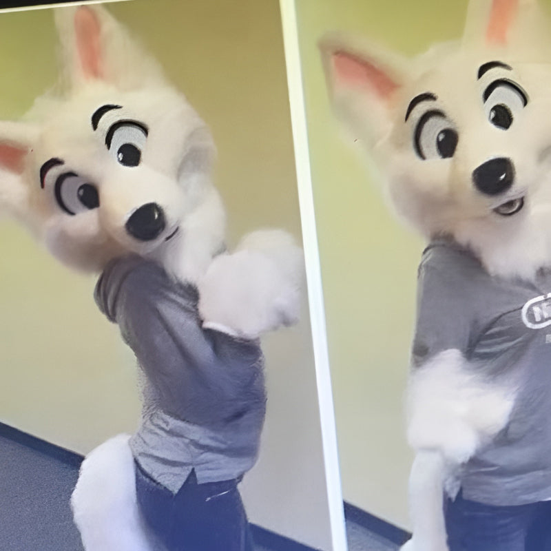 Husky doll clothes  walking cartoon  Halloween costume