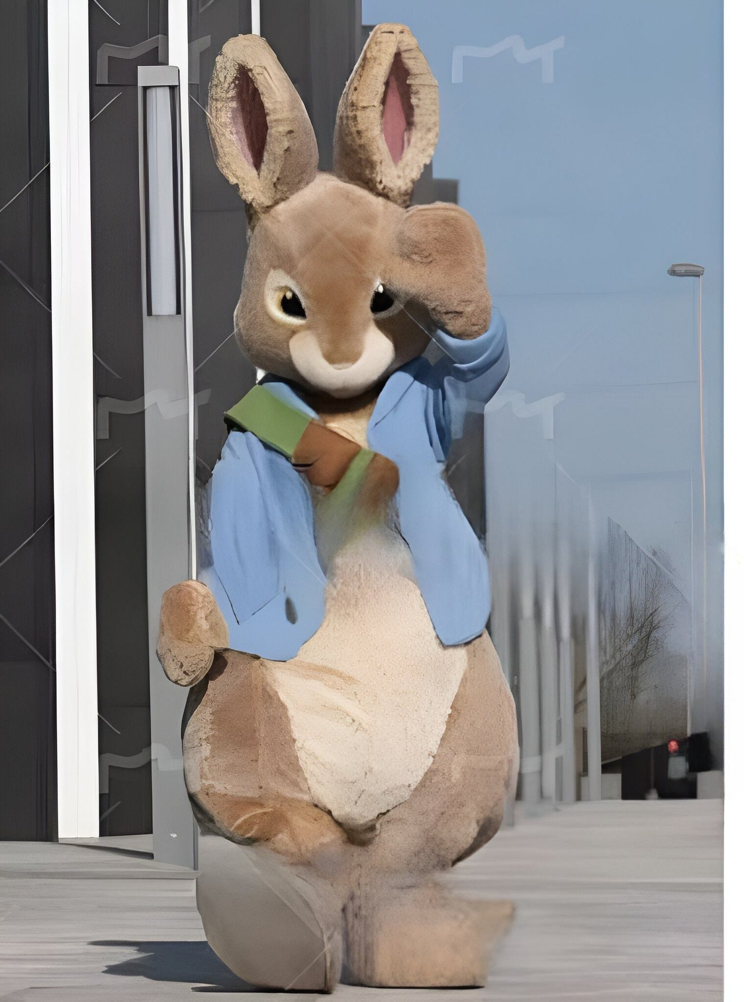 Husky doll clothes  walking cartoon  Halloween costume