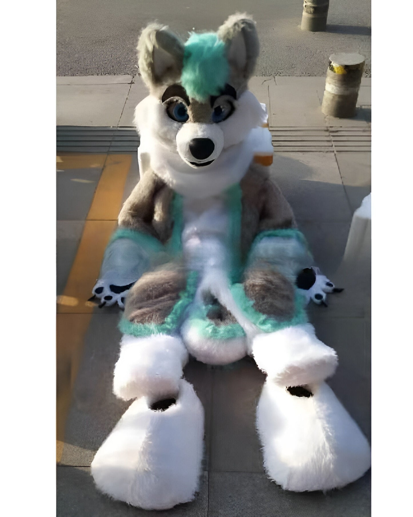 Husky doll clothes  walking cartoon  Halloween costume