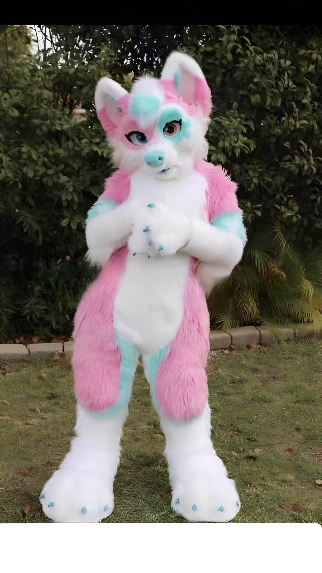 Husky doll clothes  walking cartoon  Halloween costume
