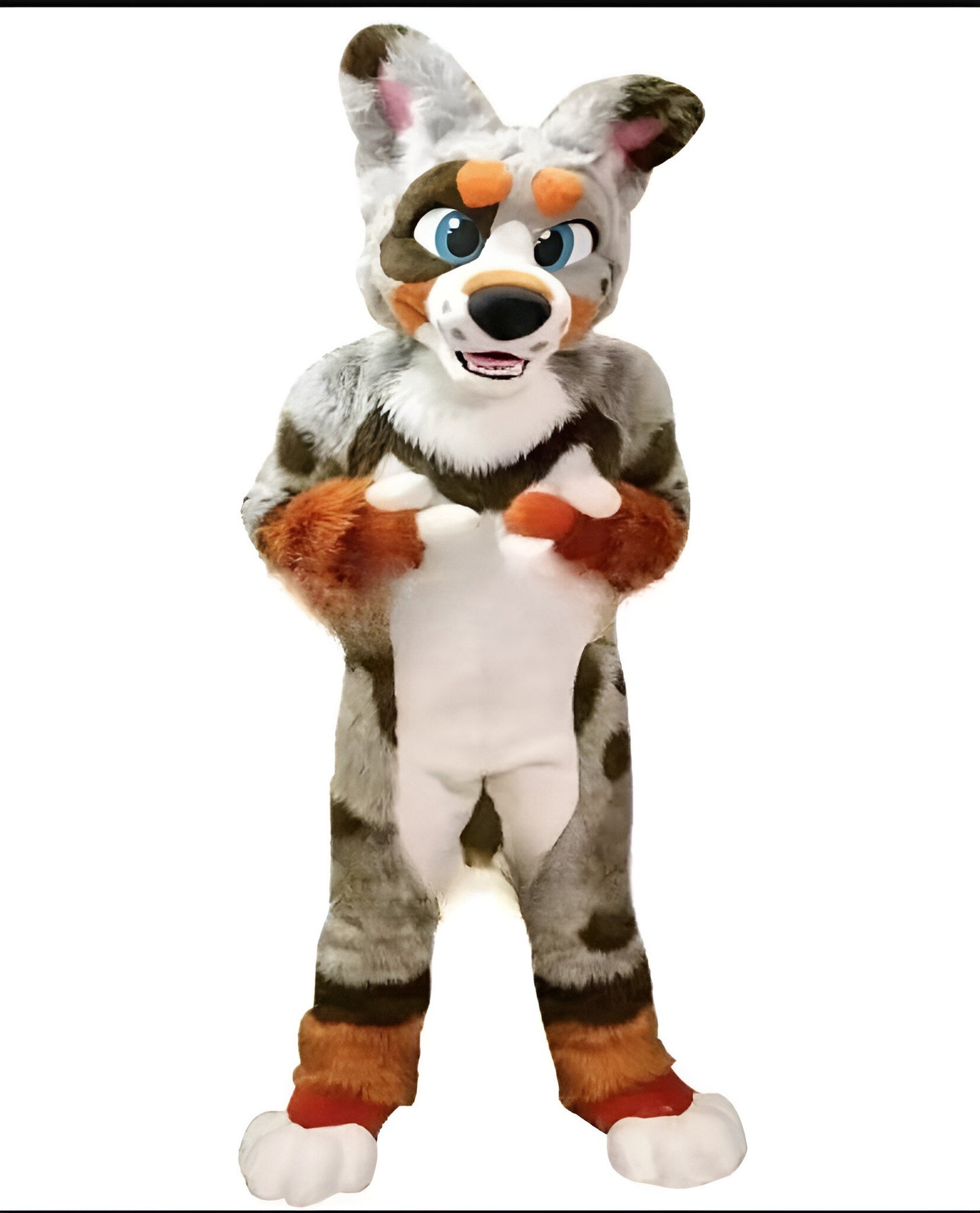 Husky doll clothes  walking cartoon  Halloween costume